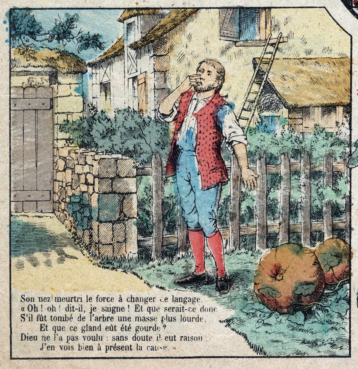 Ekollonen och pumpan. Fabler av Jean de La Fontaine (1621-95). Avbildning av Epinal från slutet av 1800-talet. av French School