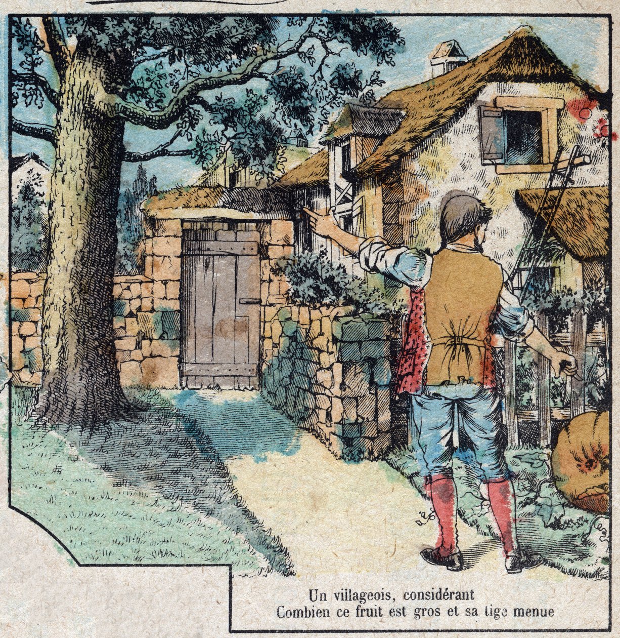Ekollonen och pumpan. Fabler av Jean de La Fontaine (1621-95). Avbildning av Epinal från slutet av 1800-talet. av French School