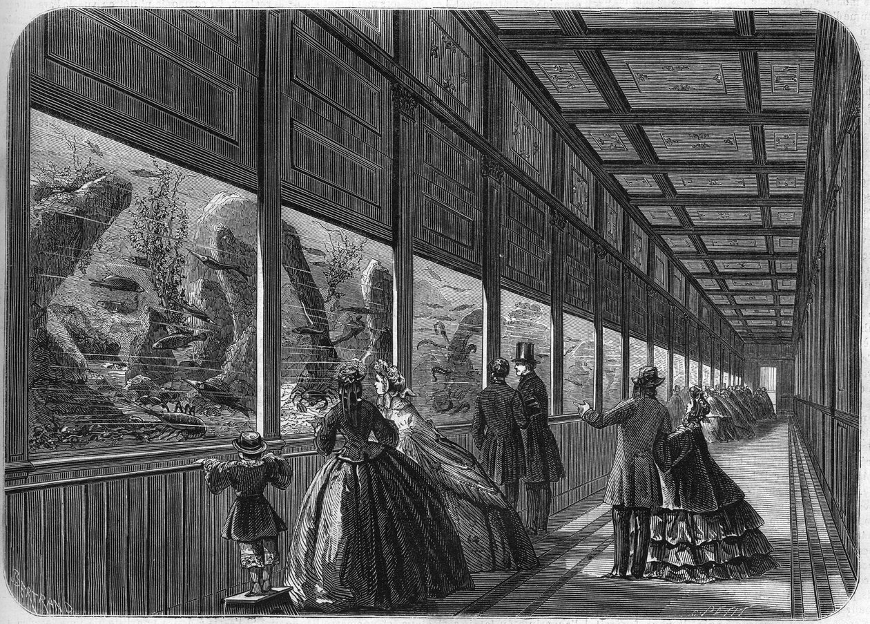 Akvariet i Paris acklimatiseringsträdgård 1863. av French School