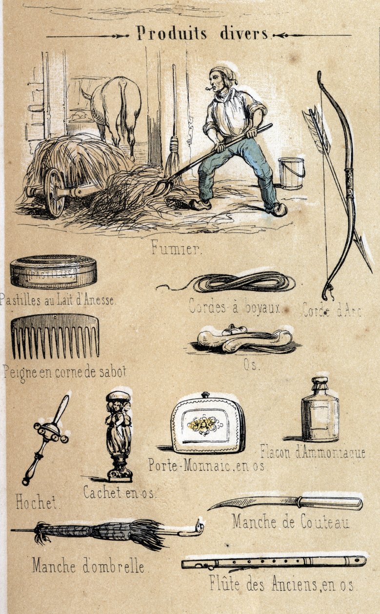 Åsnan och dess produkter gravering från 1860 i "" de lärorika rekreationerna"" Synoptisk målning av Jules DELBRUCK. Privat samling. av French School