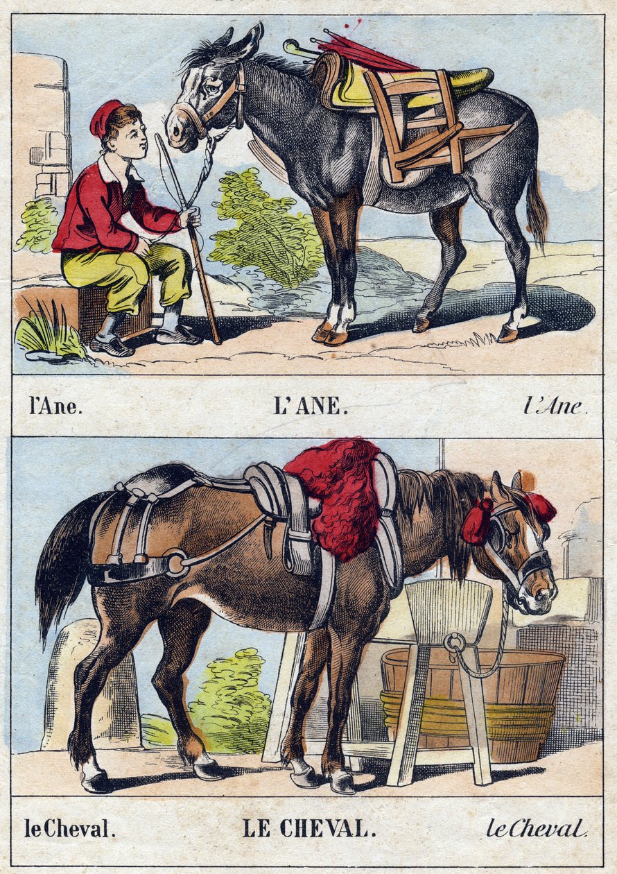 Åsnan och hästen. Gravyr i "Buffon Alphabet des Animaux". 3:e serien N 1. Avbildning av Epinal, Epinal, sent 1800-tal. 16 sidor. Mått: 28x21cm av French School