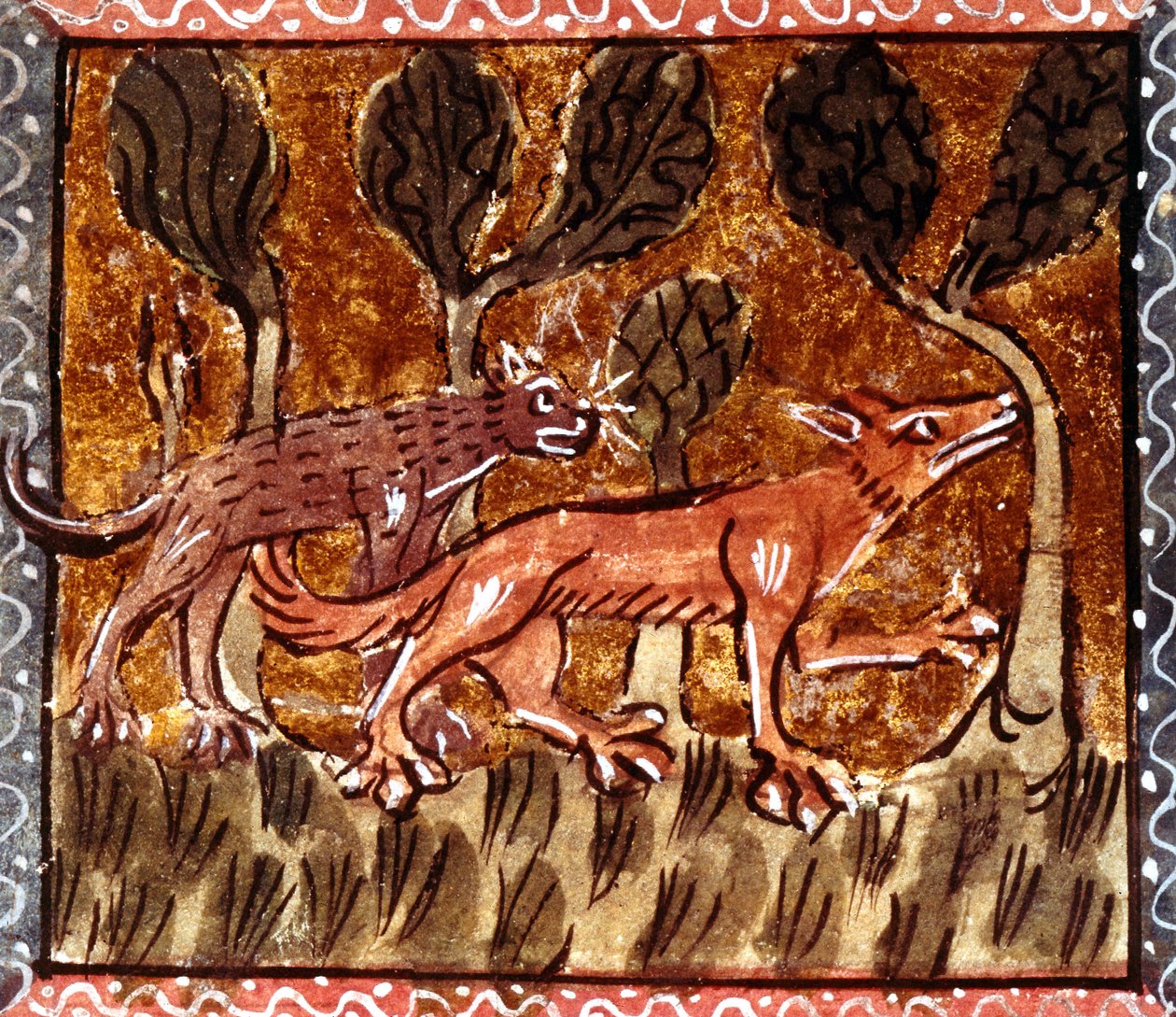 Räven och vargen, belysning från manuskriptet Roman de Renart (Rävens roman), ca 1200-talet av French School