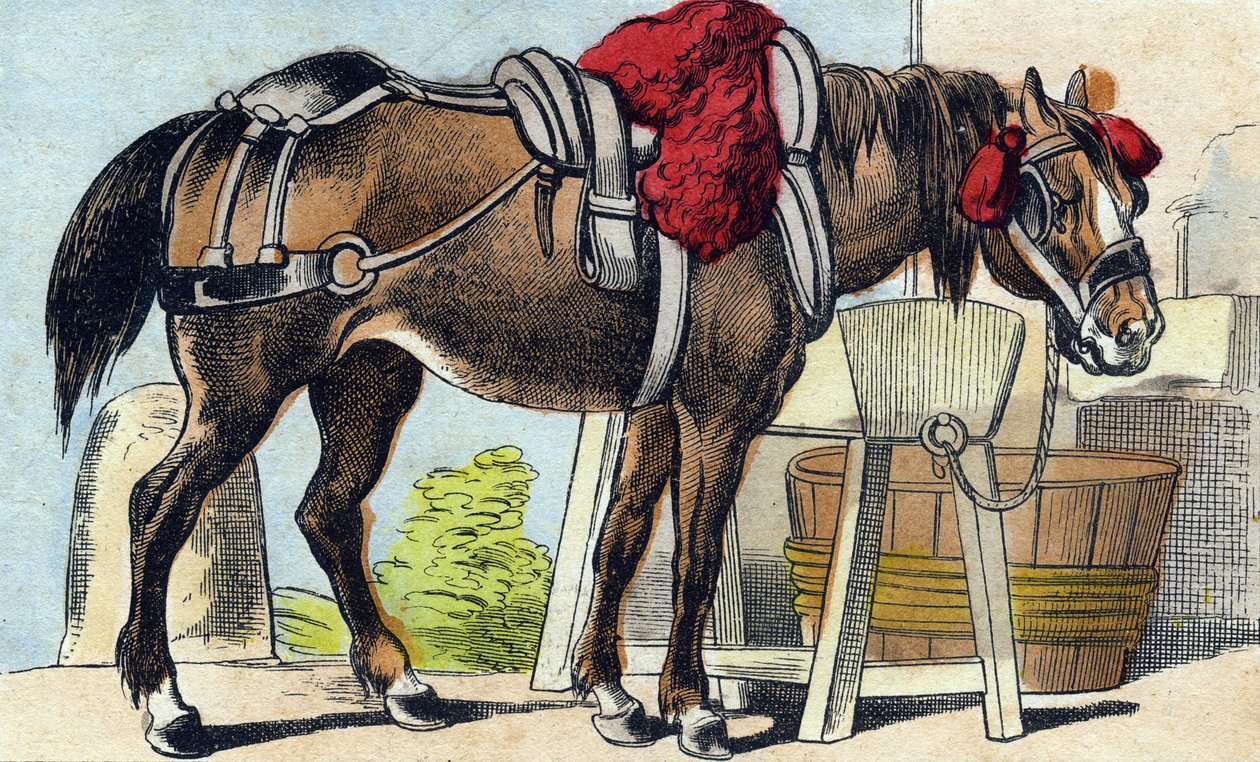 Hästen. Gravyr i "Buffon Alphabet des Animaux". 3:e serien N 1. Avbildning av Epinal, Epinal, sent 1800-tal. 16 sidor. Mått: 28x21cm av French School