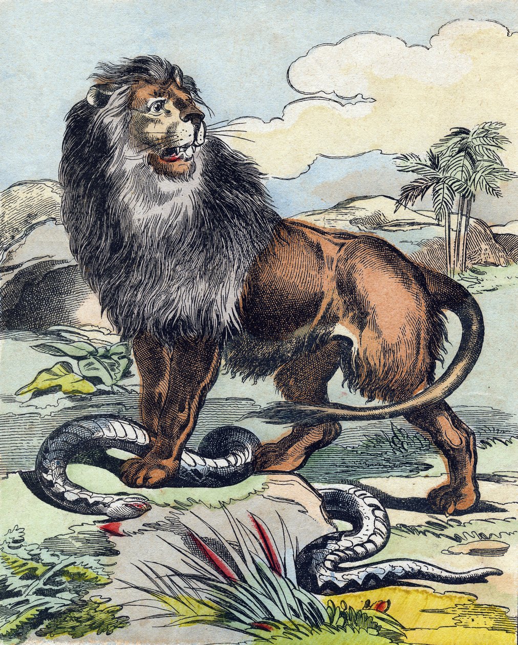 Lejonet. Gravyr i "Buffon Alphabet des Animaux". 3:e serien N 1. Avbildning av Epinal, Epinal, sent 1800-tal. 16 sidor. Mått: 28x21cm av French School