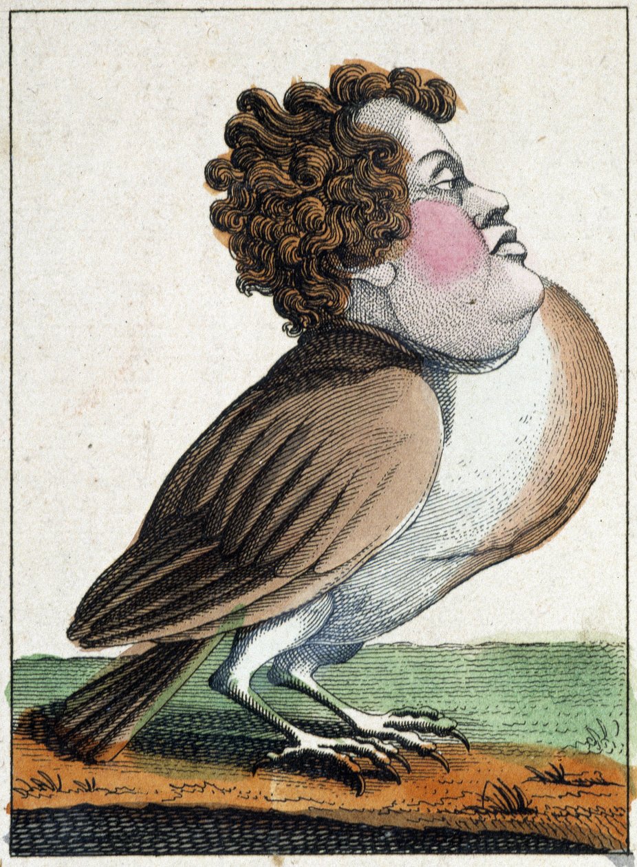 Duvan i karikatyr, studie av karaktär "flyktig karaktär" sd. 19:e, populärt bildspråk. av French School