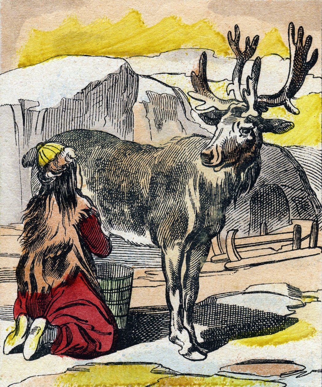 Renen som mjölkas. Gravyr i "Buffon Alphabet des Animaux". 3:e serien N 1. Avbildning av Epinal, Epinal, sent 1800-tal. 16 sidor. Mått: 28x21cm av French School