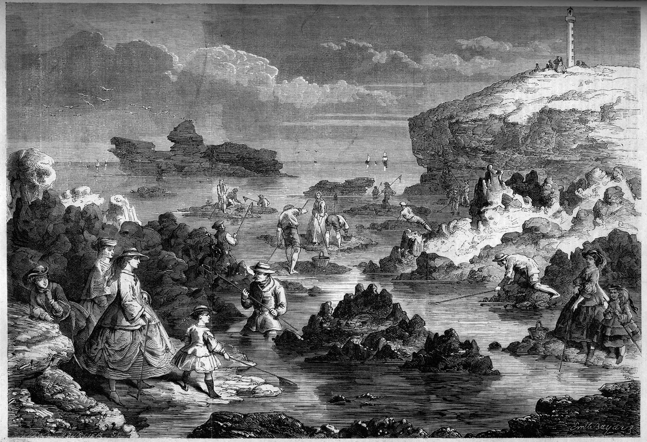 Räkfisket vid Biarritz, Atlantiska Pyrenéerna (64) av French School