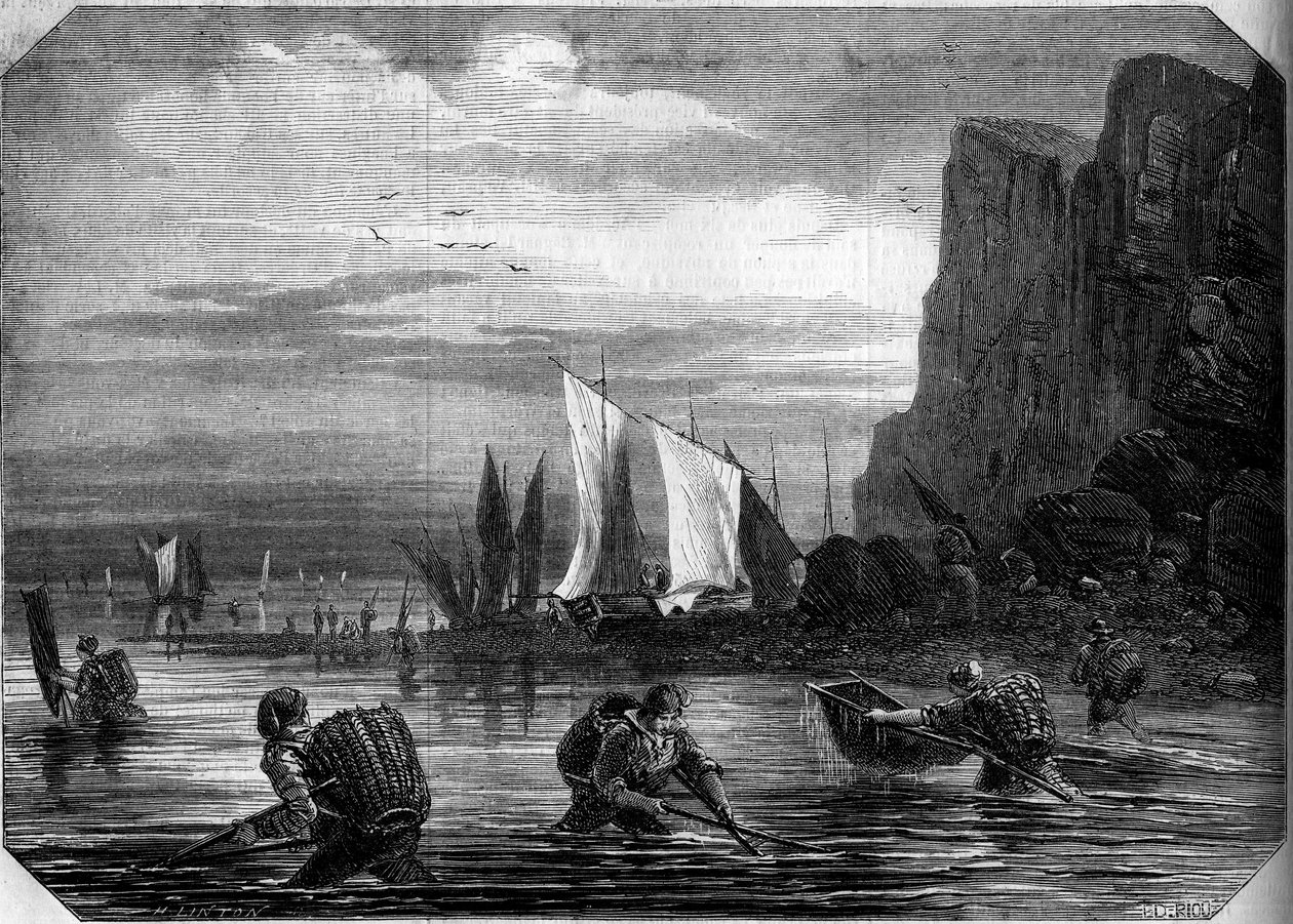 Räkfisket i närheten av Le Havre, Seine Maritime (76) av French School