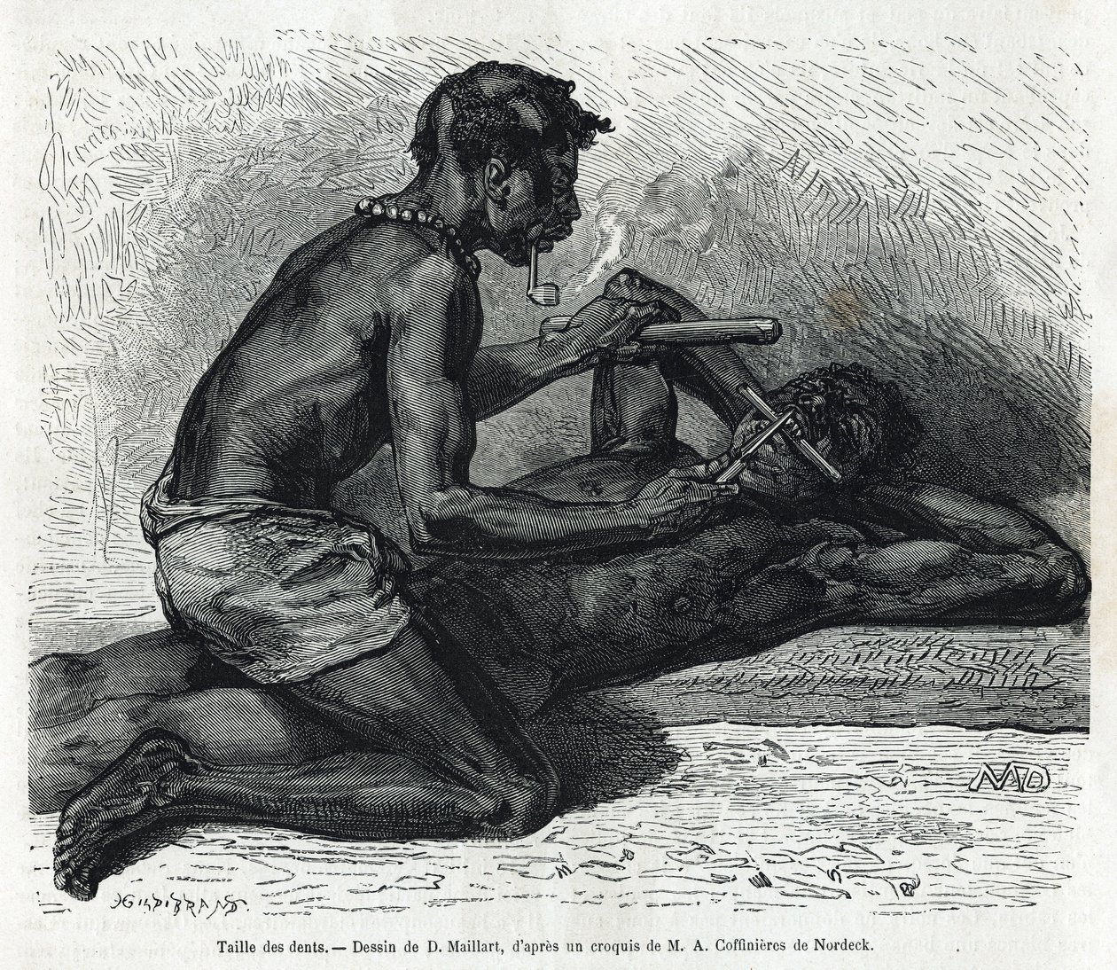 Storleken på tänderna i Okanda, ritning av D. Maillard, för att illustrera historien om en resa till Gabon och floden Ogoue 1875-1877, av Alfred Marche. Gravyr i Le tour du monde av French School
