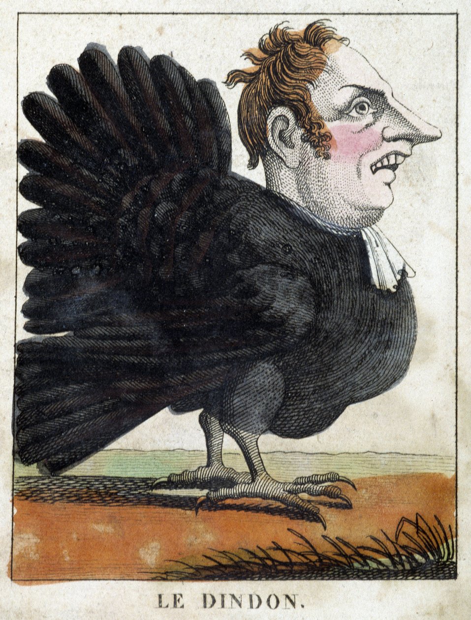 Kalkonen i karikatyr, studie av karaktären "flyktig karaktär" sd. 19:e, populärt bildspråk. av French School