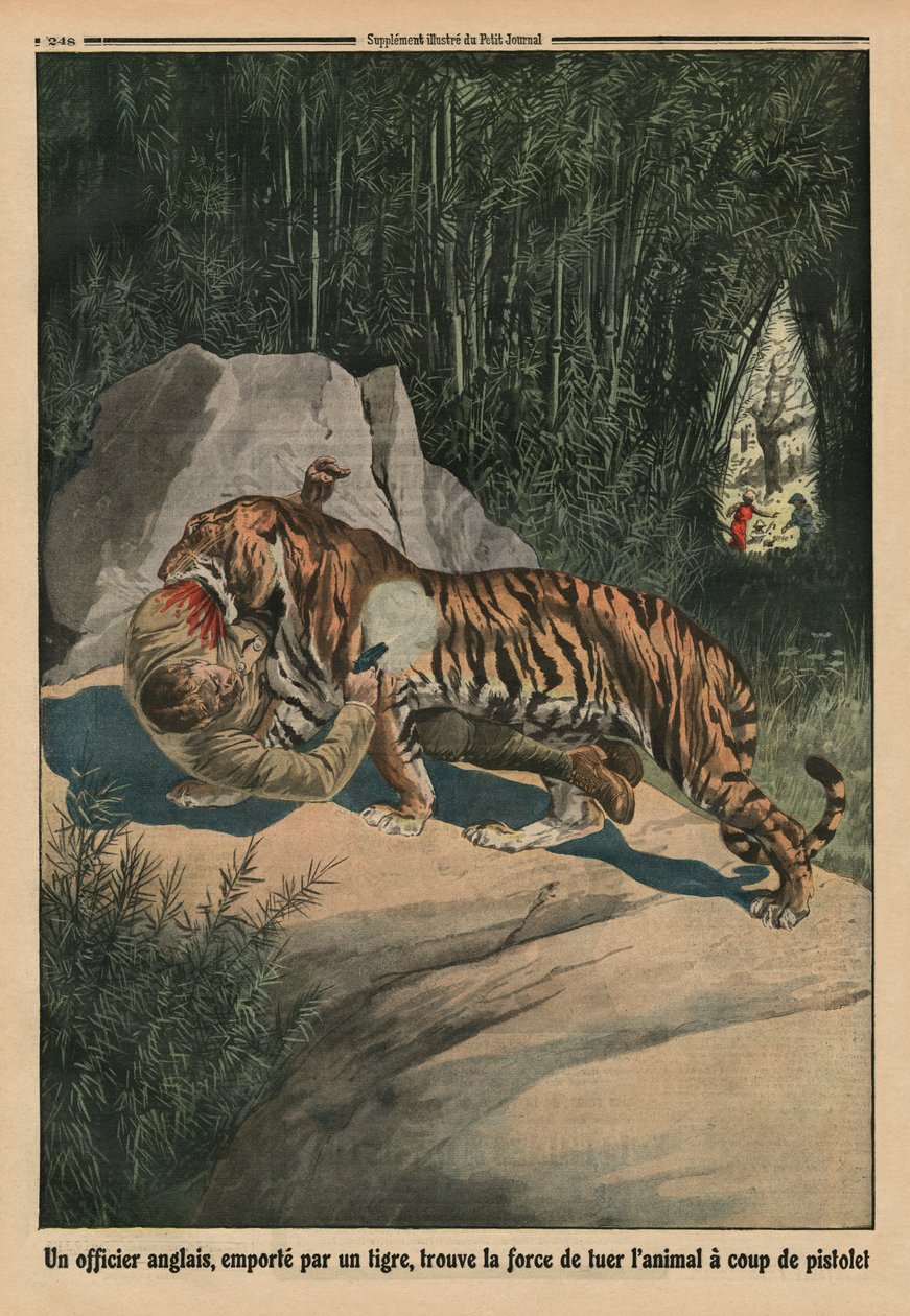 Tiger attackerar en brittisk officer, illustration på baksidan från "Le Petit Journal", bilaga illustre, 3 augusti 1913 av French School