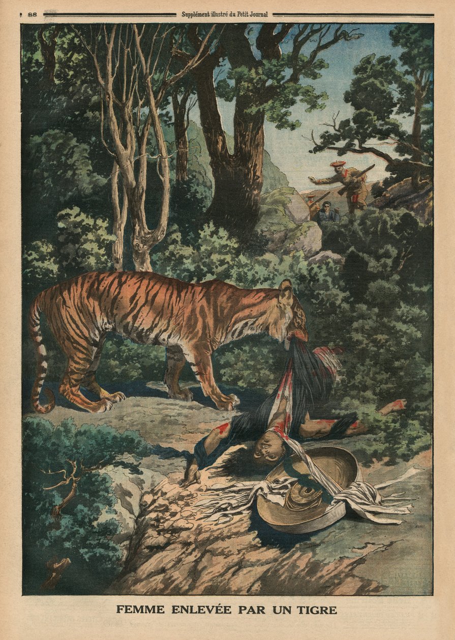 Tiger attackerar en kvinna, illustration på baksidan från "Le Petit Journal", bilaga illustre, 15 mars 1914 av French School