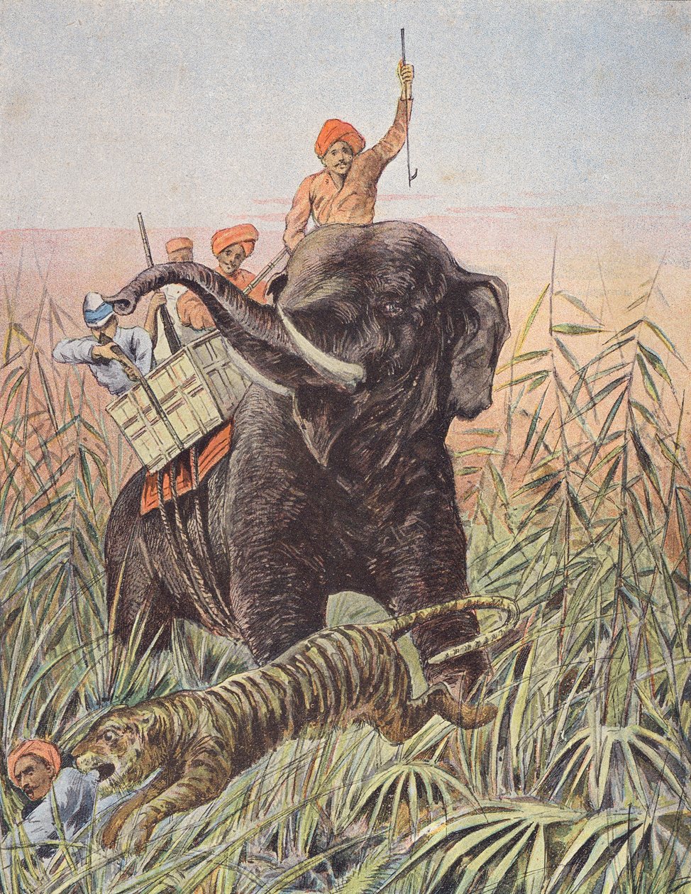 Tigerjakt, Indien (färglitografi) av French School