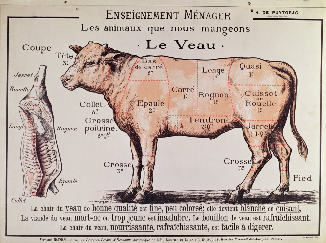 Kalvkött: diagram som visar de olika köttbitarna av French School