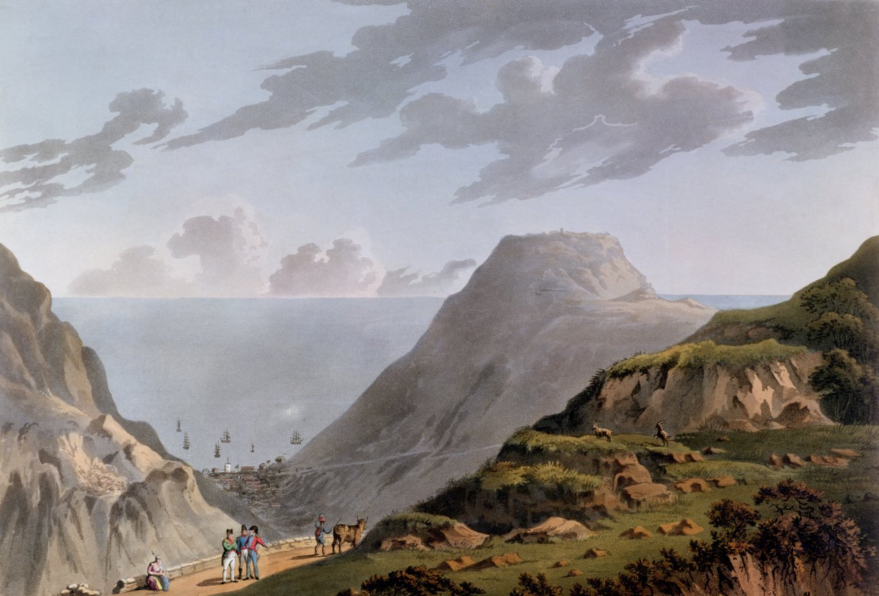 Utsikt över Jamestown och stigen som leder till Longwood, c.1821 av French School
