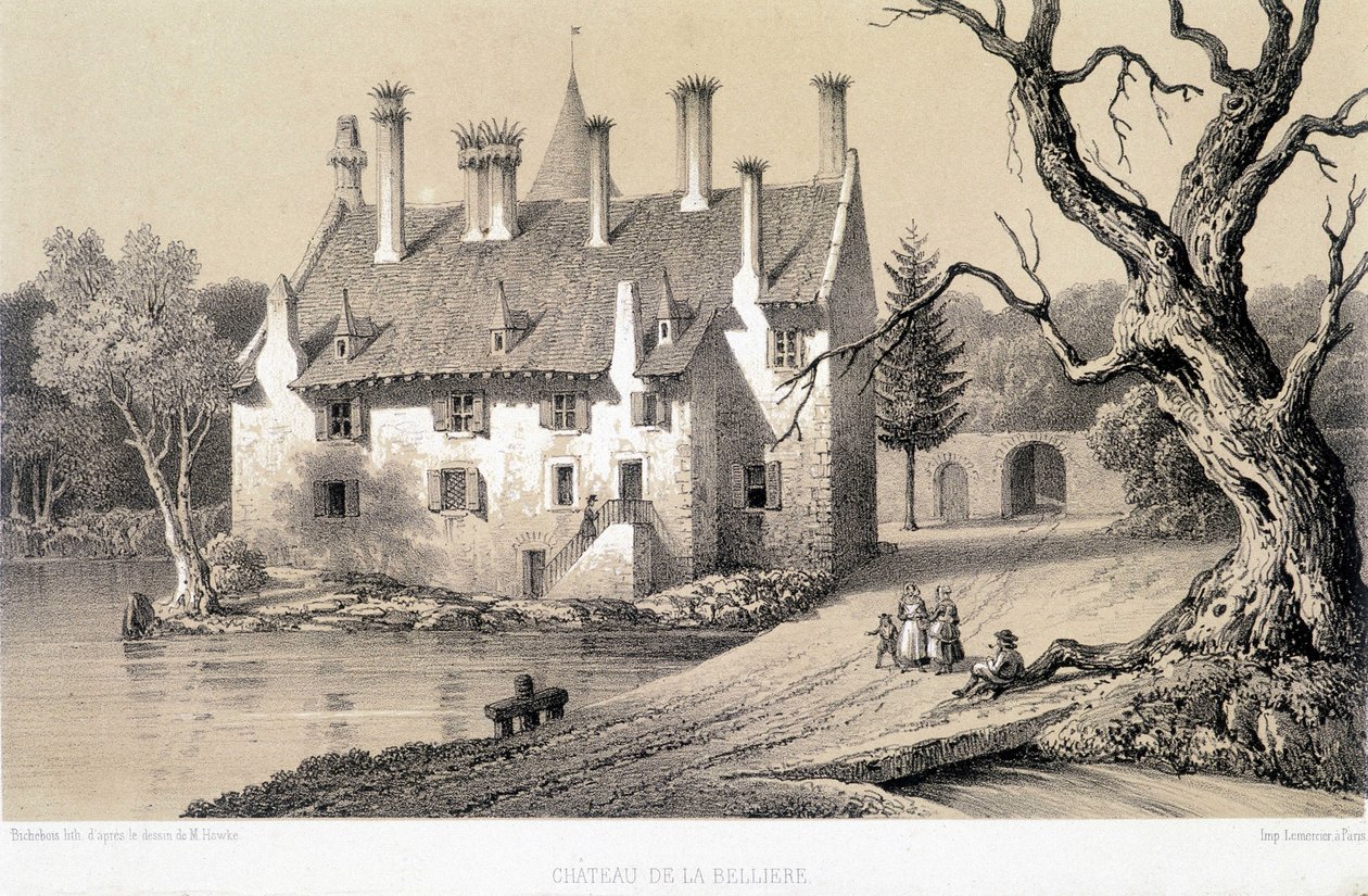 Utsikt över Chateau de la Belliere (Cote d