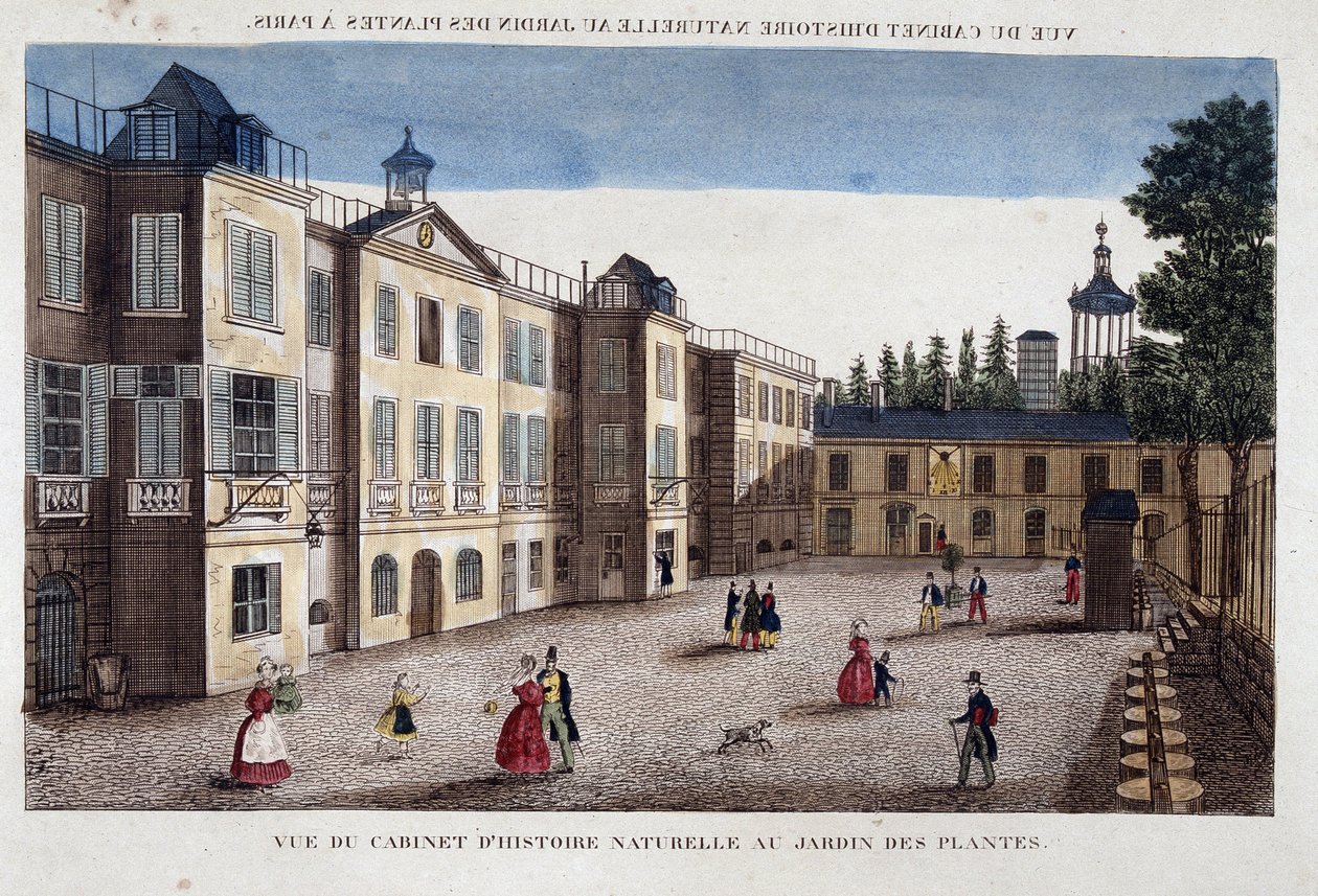 Vy över det naturhistoriska skåpet vid Jardin des Plantes i Paris - gravyr av French School