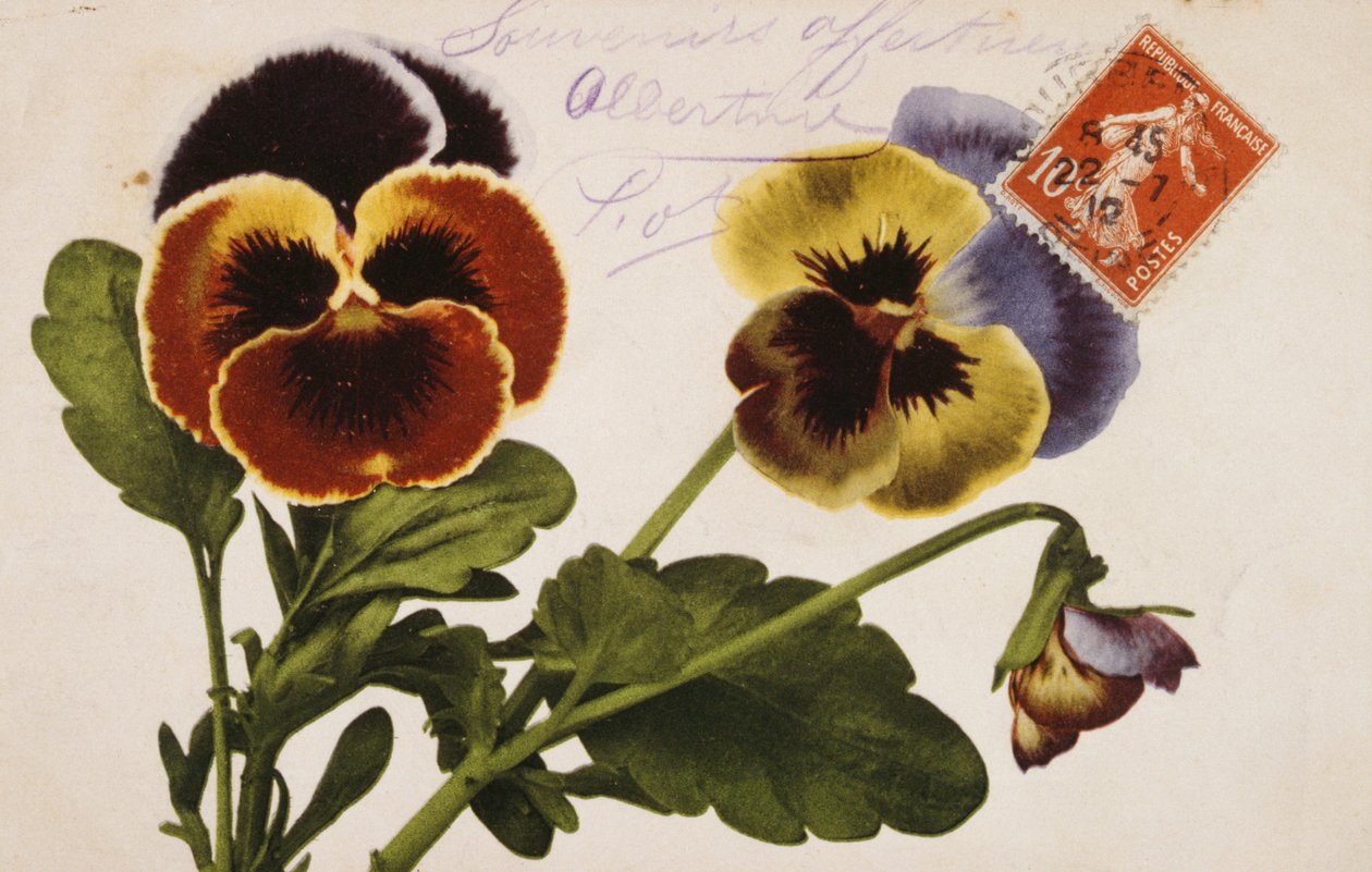 Franskt vintagevykort med blomsterdekorationer av French School