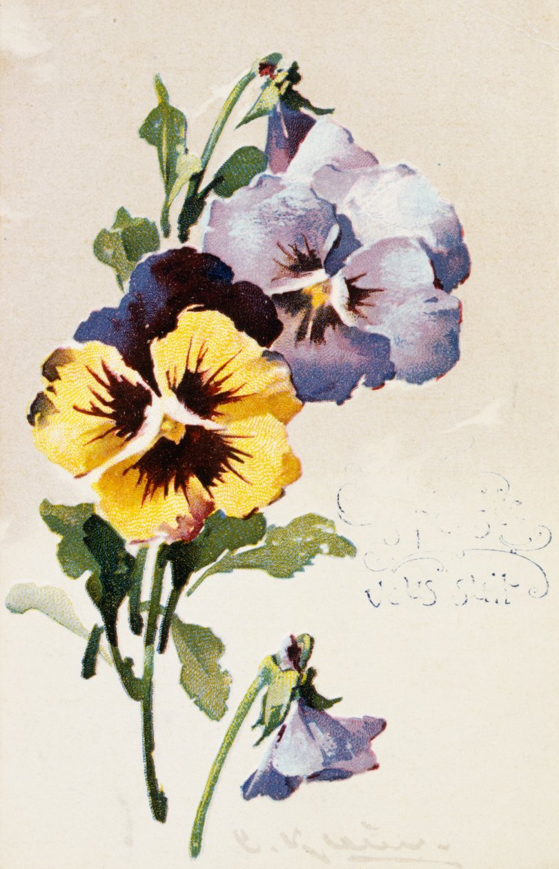 Franskt vintagevykort med blomsterdekorationer av French School