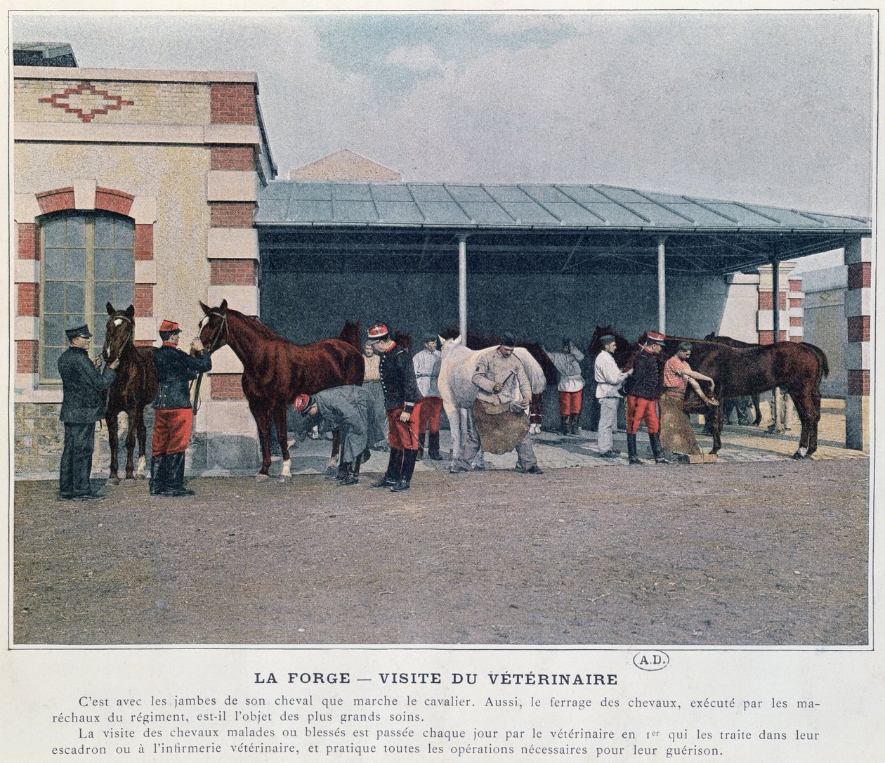 Besök av arméveterinären i kasernen, 1897 (färg litho, efter ett färgat foto) av French School