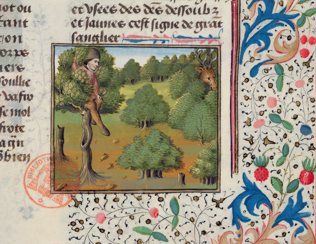 Waiting for Deer Hiding in a Tree, från Livre de la Chasse av Gaston Phebus av French School
