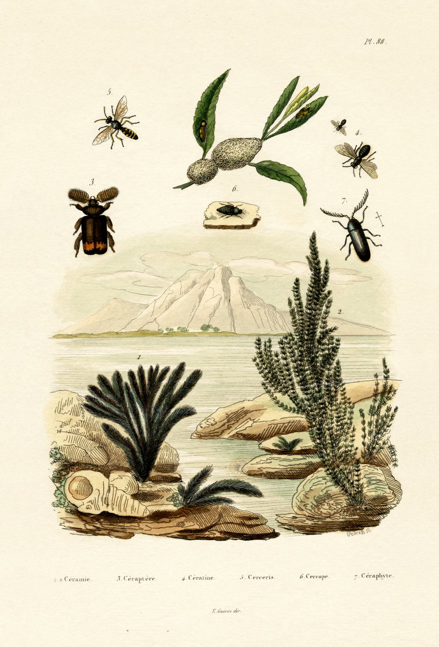 Geting, 1833-39 av French School