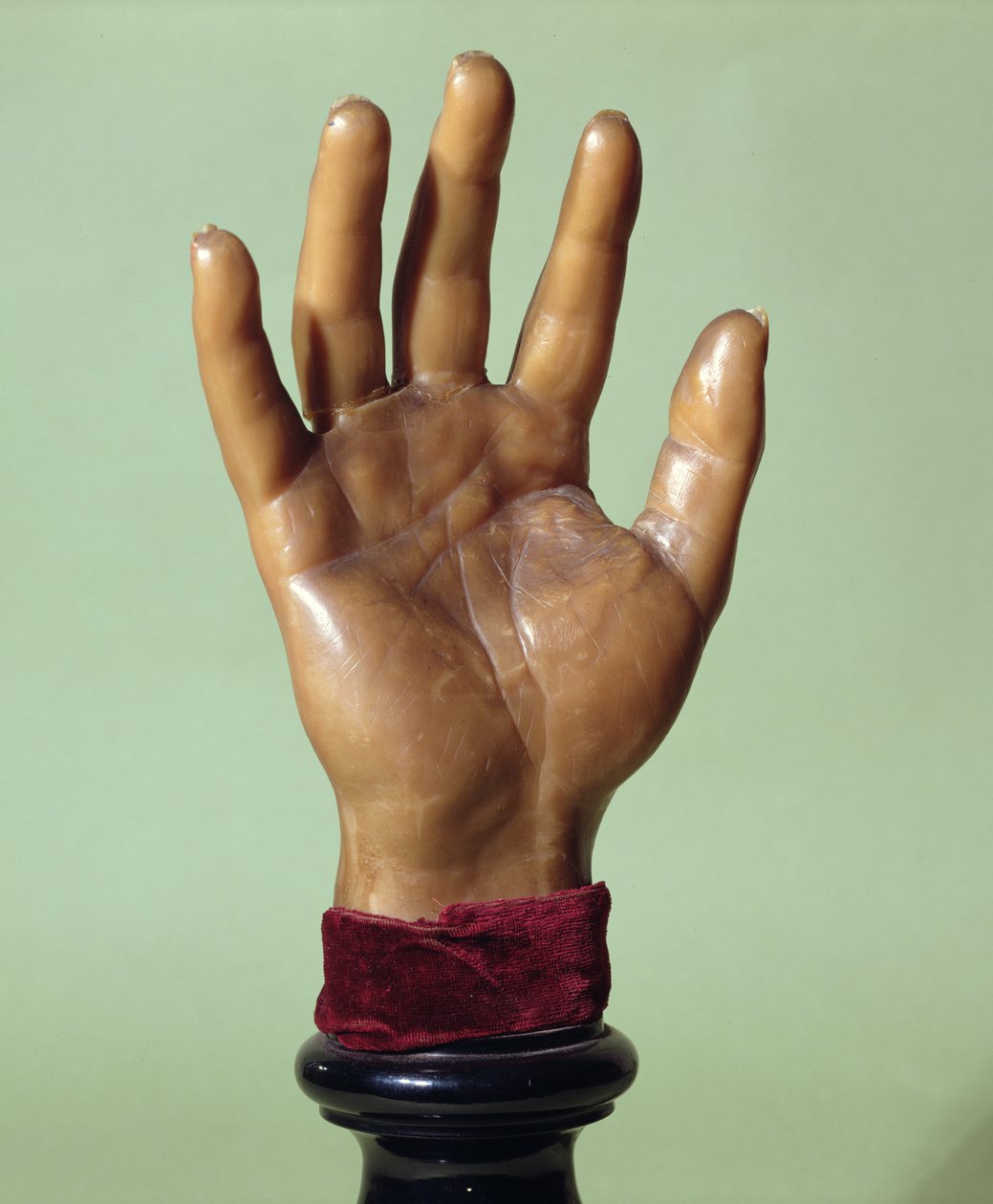 Vaxavgjutning av Jean-Baptiste Troppmanns hand (1848-1970) 1869 (vax) av French School