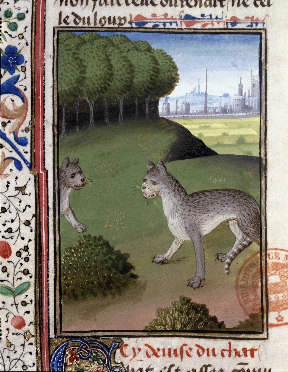 Vilda katter - i "" Hunting Book of Gaston Phoebus, Count of Foix, Lord of Bearn"" av French School