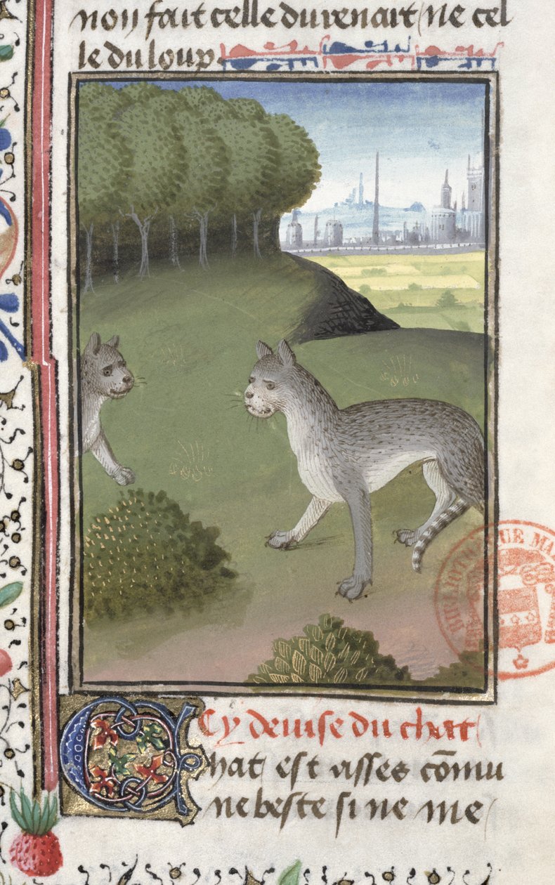 Vilda katter, från jaktboken av Gaston Phebus de Foix (1331-91) av French School