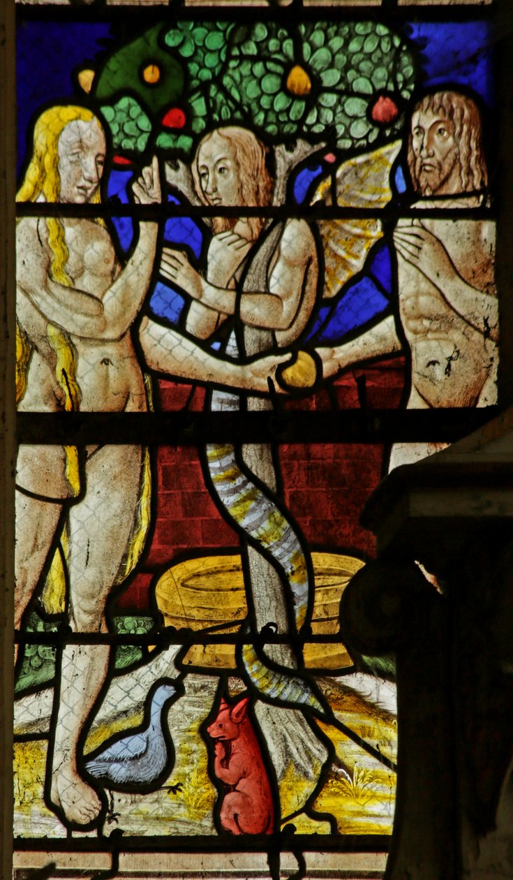Fönster som visar Adam och Eva och ormen (målat glas) av French School