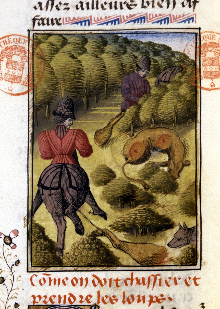Wolf Hunt- i "" Hunting Book of Gaston Phoebus, greve av Foix, Lord of Béarn"" av French School