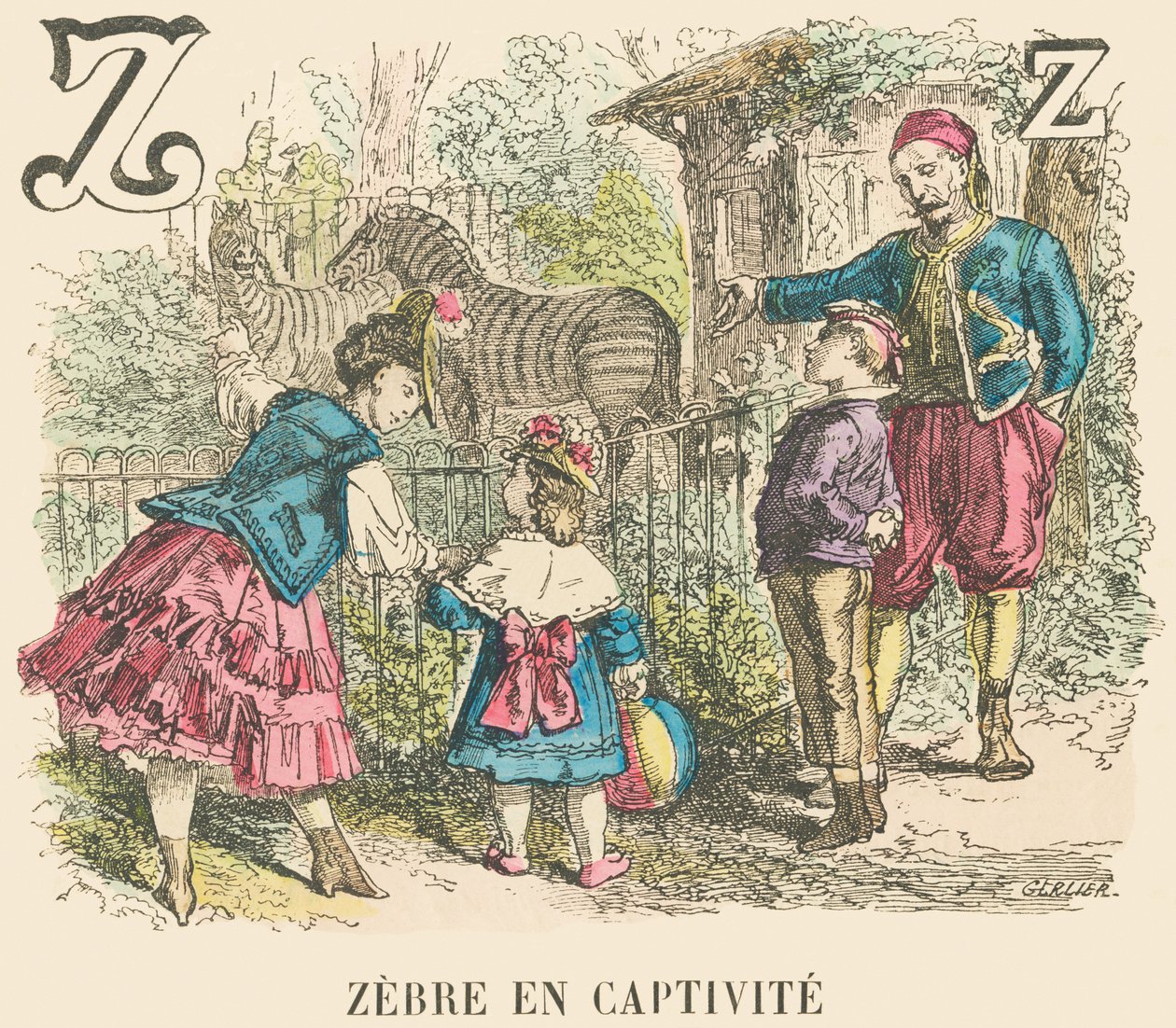 Z: Zebra i fångenskap av French School