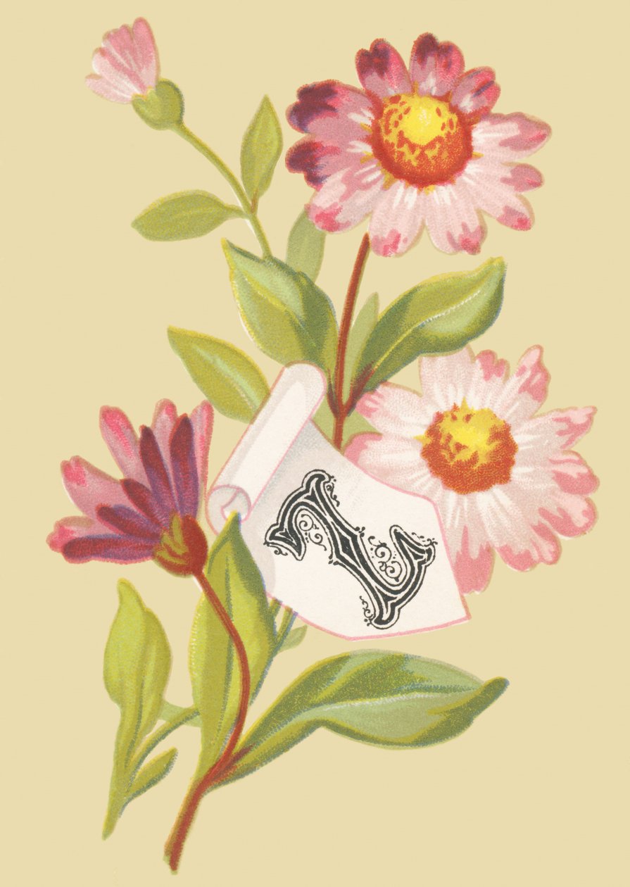 Z: Zinnia - Falska flingor av French School