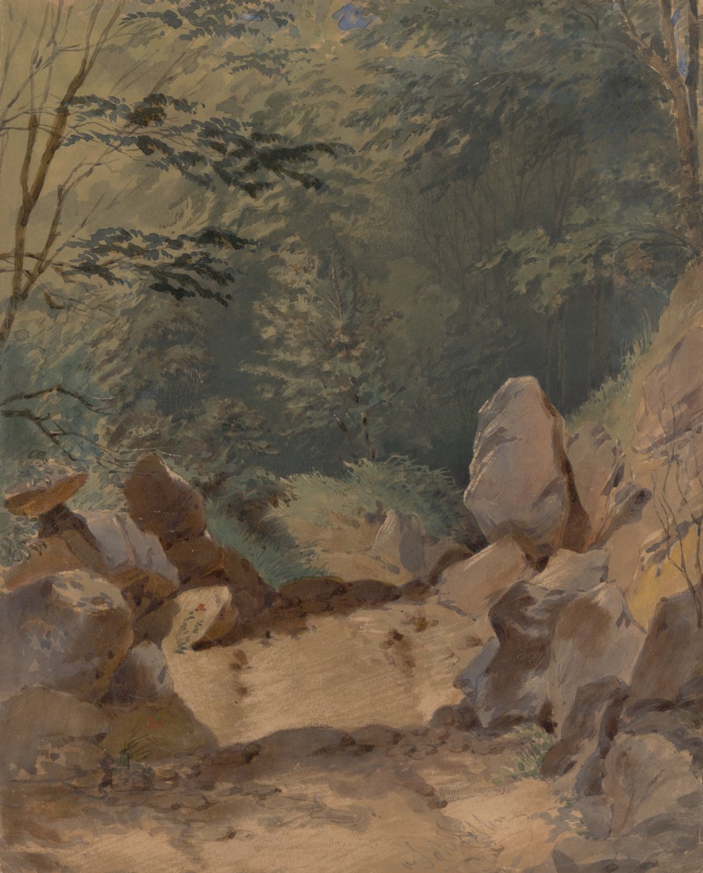 Forest Scenery with Rocks av Friedrich Carl von Scheidlin