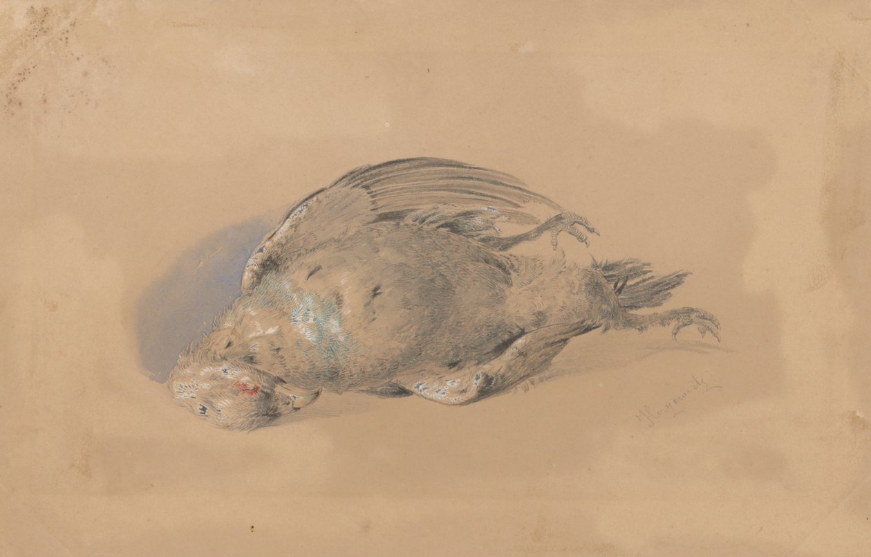 Döda grouse av Friedrich Carl von Scheidlin