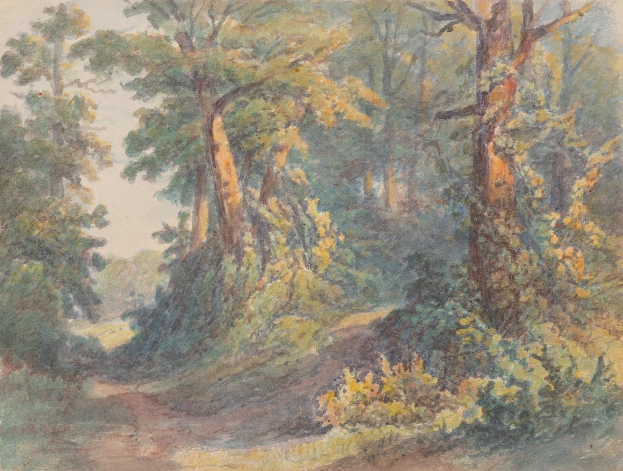 Skogslandskap av Friedrich Carl von Scheidlin