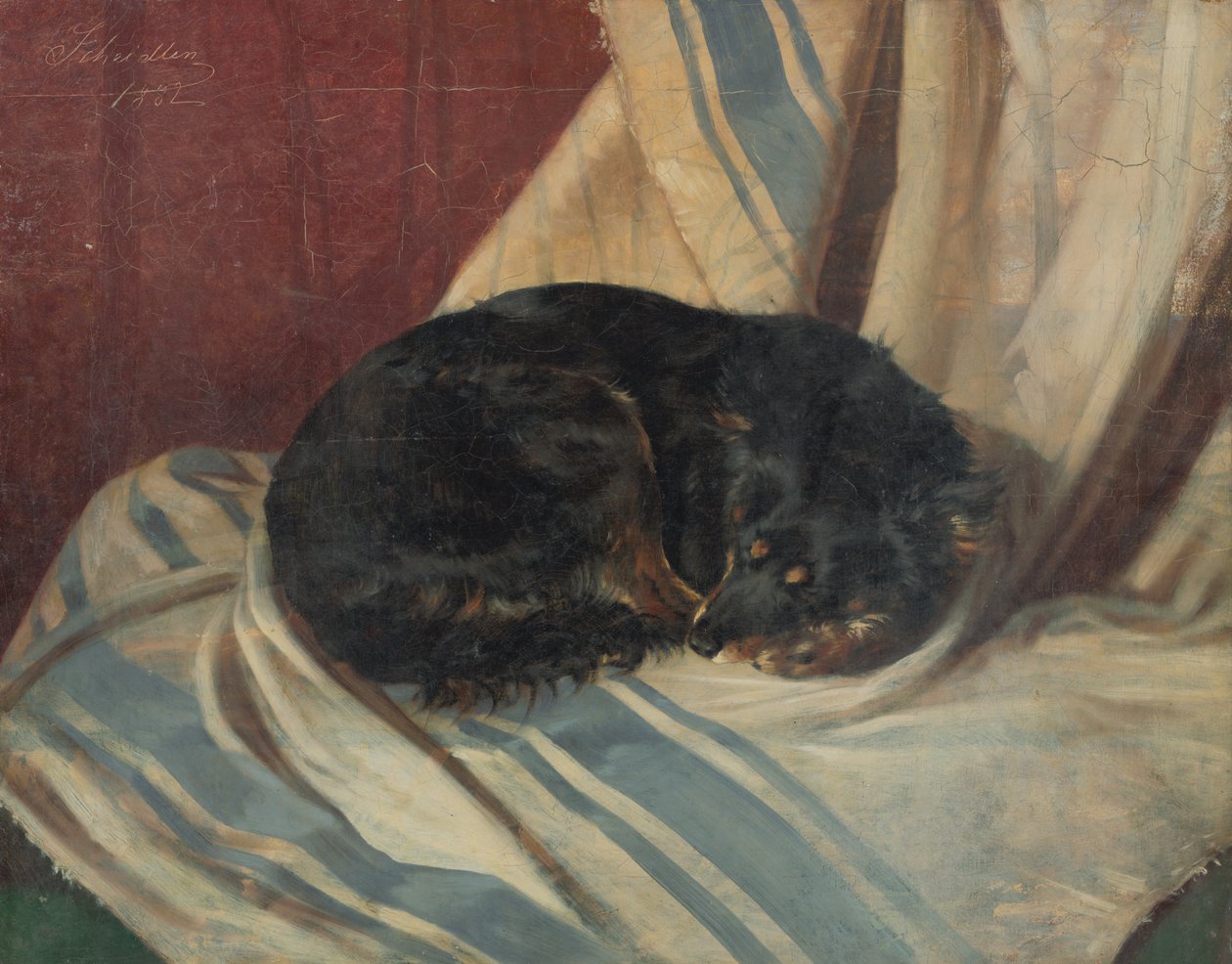 Studie av en hund som ligger ner av Friedrich Carl von Scheidlin