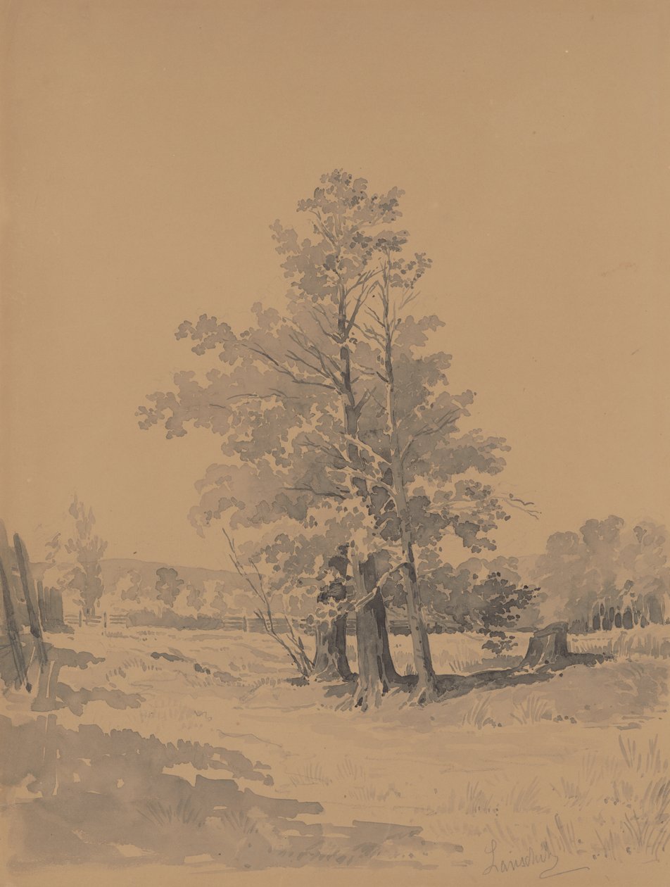 Träd vid kanten av skogen av Friedrich Carl von Scheidlin