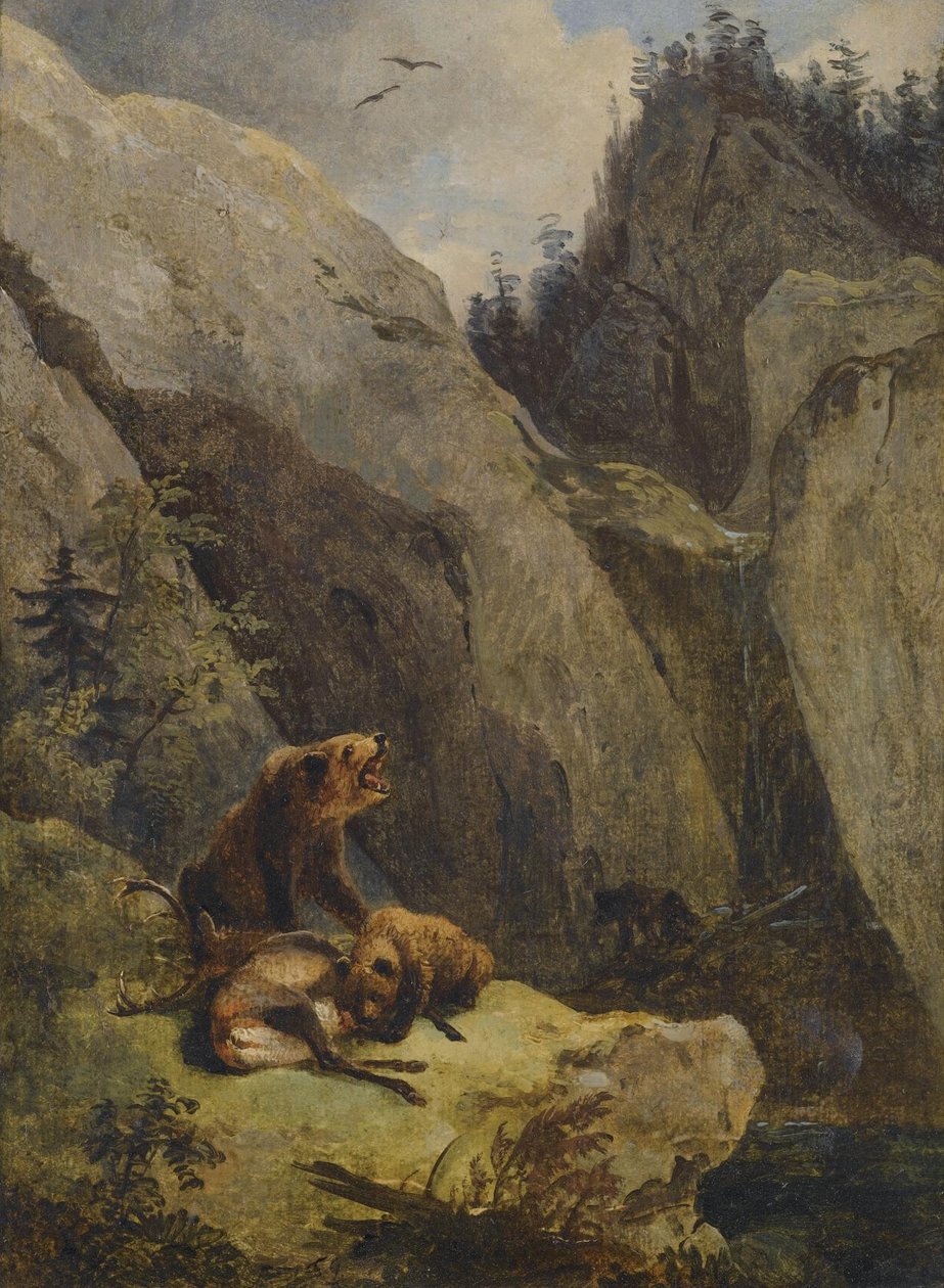 Bären zerlegen einen Hirsch av Friedrich Gauermann