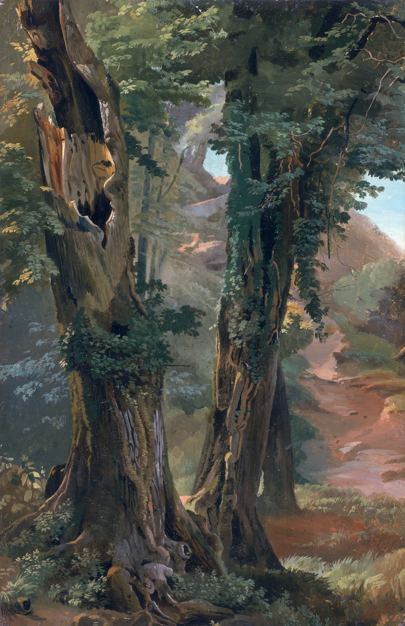 Old Elms, ca 1835 (olja på papper ombord) av Friedrich Nerly