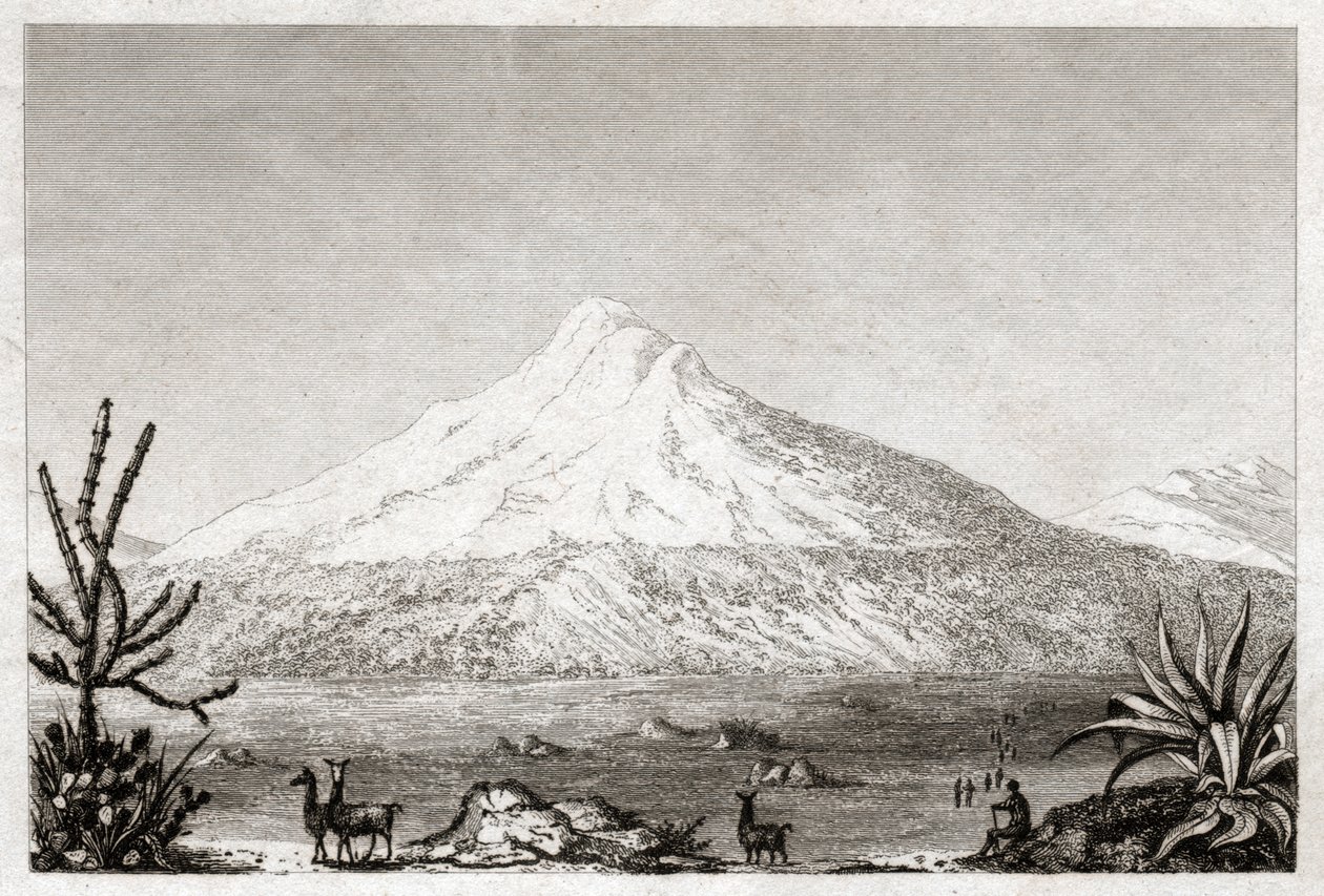 Chimborazo vulkan. (gravyr, ca 1840) av Friedrich Alexander Baron von (after) Humboldt