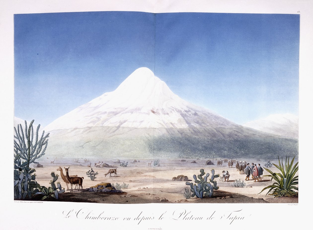 Chimborazo sett från Plateau de Tapia av Friedrich Alexander Baron von (after) Humboldt