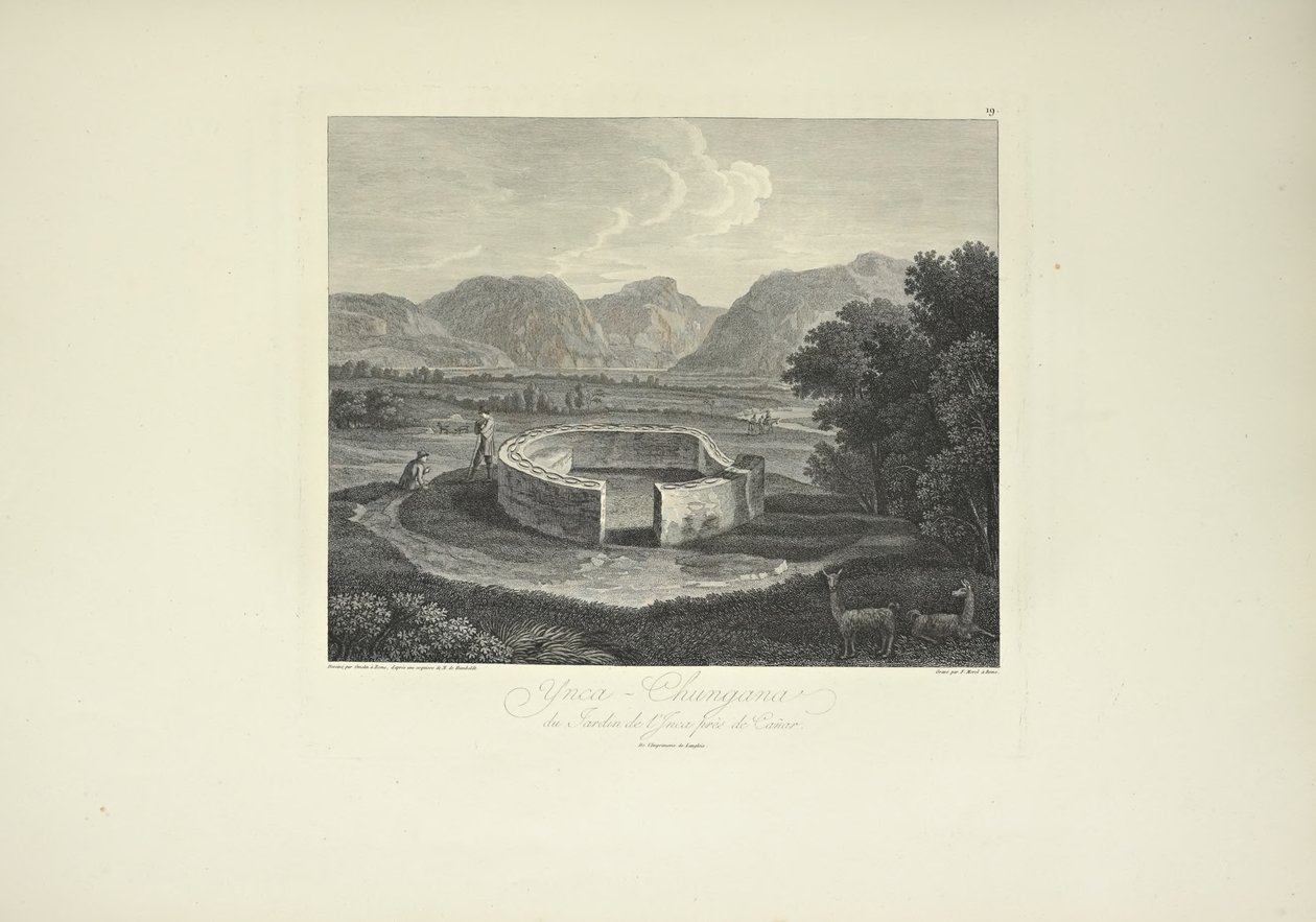 Ynca-Chungana, från Inkaträdgården nära Canar, tecknad av Gmelin, graverad av Morel, illustration från 