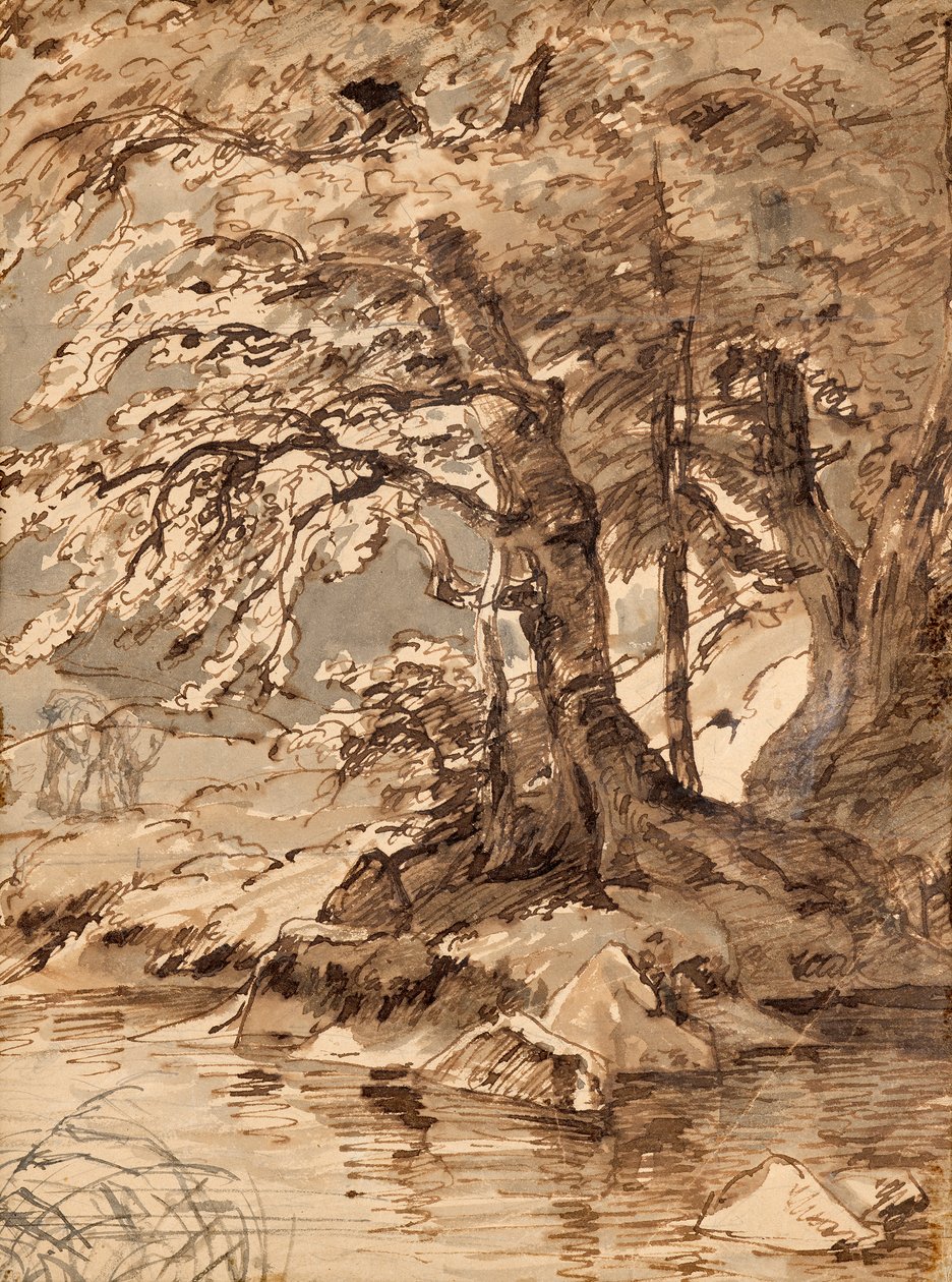 trädstudie av Friedrich August Mathias Gauermann