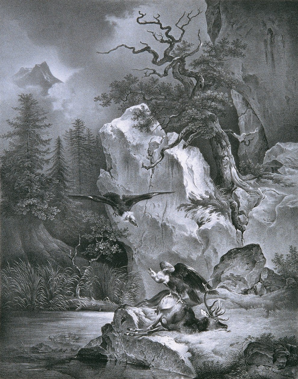 Gamar med döda rådjur av Friedrich August Mathias Gauermann