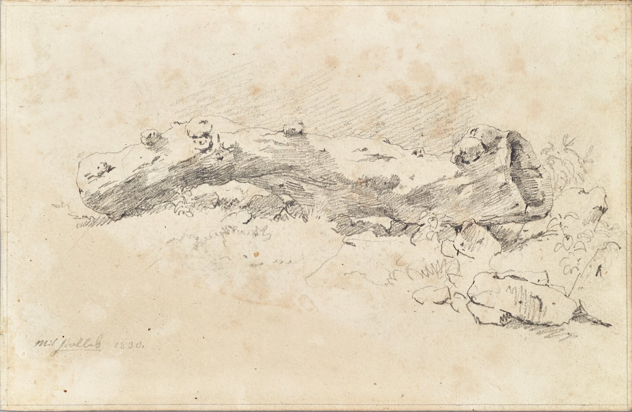 Liggande ihålig trädstam av Friedrich August Mathias Gauermann
