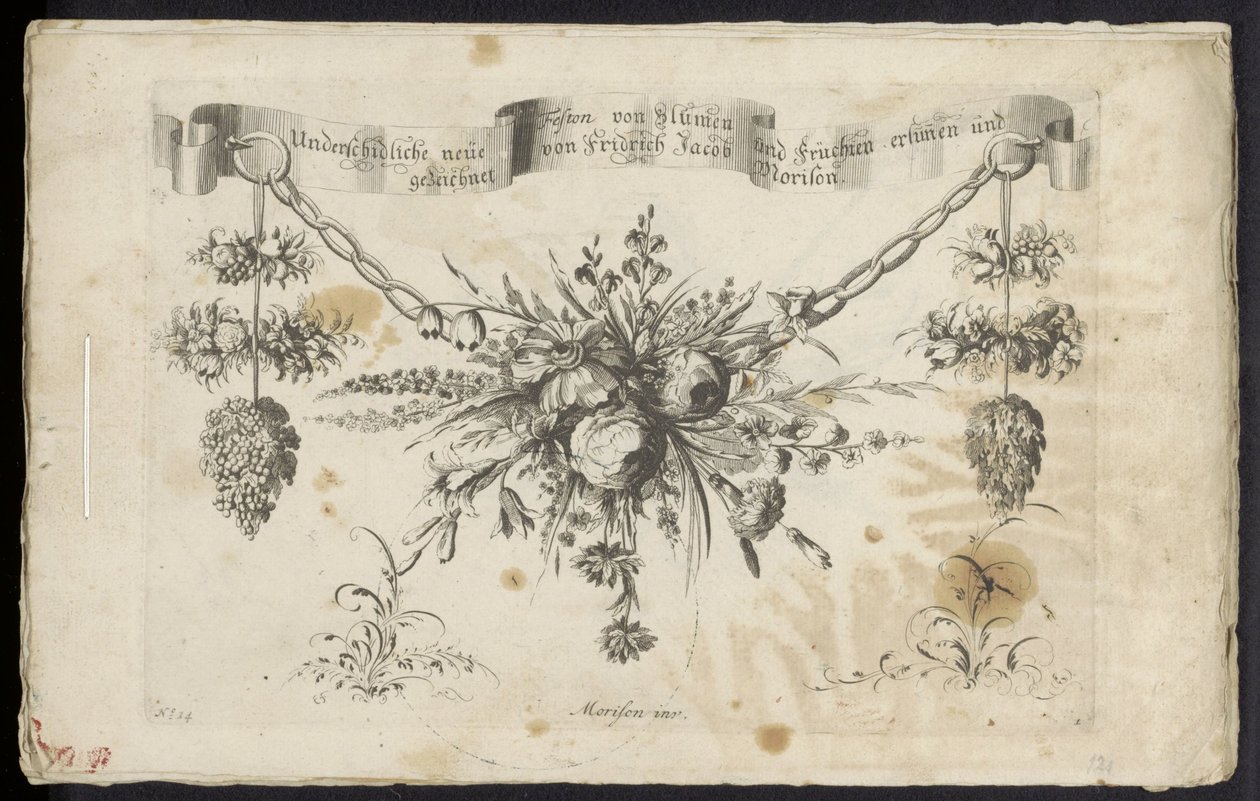 En annan ny festong av blommor och frukter av Friedrich Jacob Morisson