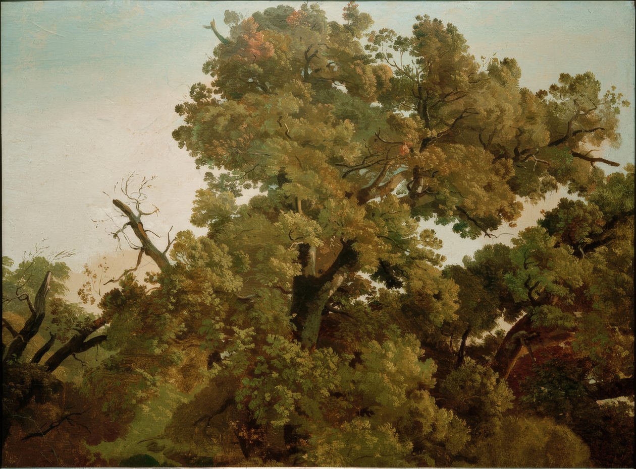 Ek av Friedrich Nerly