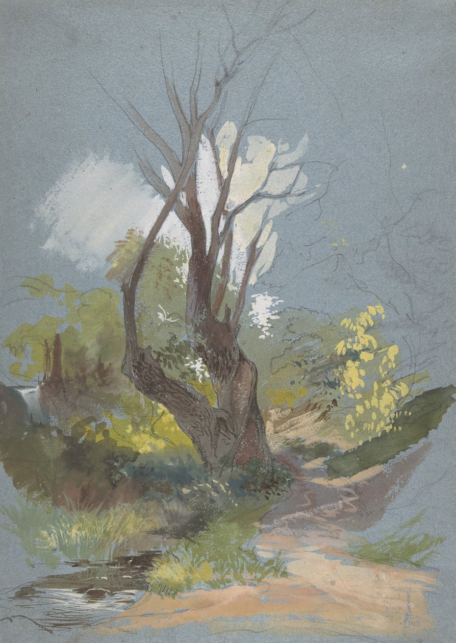 Bergsstig med ett träd, 1820-78. av Friedrich Nerly