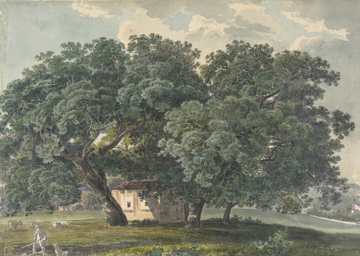 swedish av Friedrich Salathé